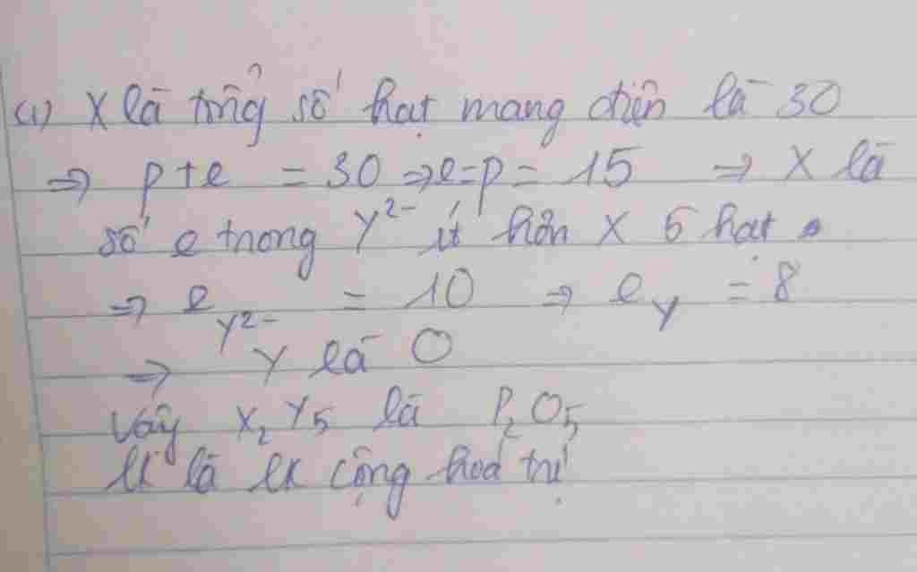 hoa-hoc-lop-10-nguyen-tu-cua-nguyen-to-co-tong-so-hat-mang-dien-la-30-so-electron-trong-ion-y2-i