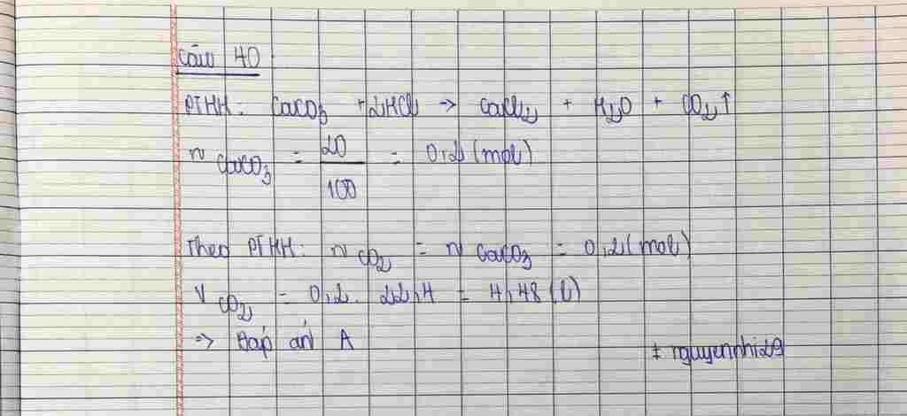 hoa-hoc-lop-11-cau-40-cho-20g-caco3-tac-dung-voi-dung-dich-hcl-du-thay-co-v-lit-co2-thoat-ra-o-d