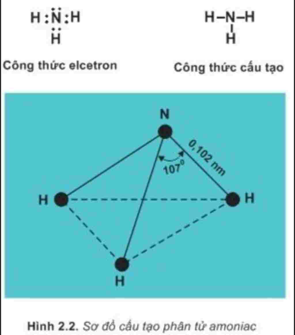 hoa-hoc-lop-12-giai-thich-su-hinh-thanh-nguyen-tu-nh3-theo-thuyet-vb