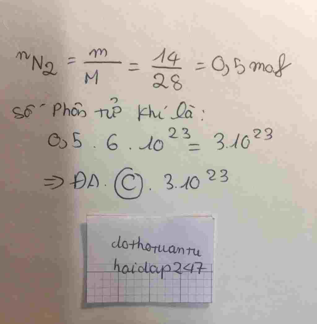 hoa-hoc-lop-8-so-phan-tu-cua-14-gam-khi-nito-la-a-9-1023-b-6-1023-c-3-1023-d-1-5-1023