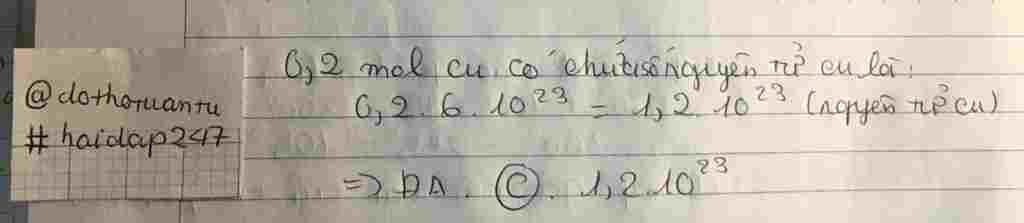 hoa hoc lop 8 trong 0 2 mol cu co bao nhieu nguyen tu cu a 6 10 23 b q2 10 23 c 1 2 10 23 d 1 8 hoa-hoc-lop-8-trong-0-2-mol-cu-co-bao-nhieu-nguyen-tu-cu-a-6-10-23-b-q2-10-23-c-1-2-10-23-d-1-8