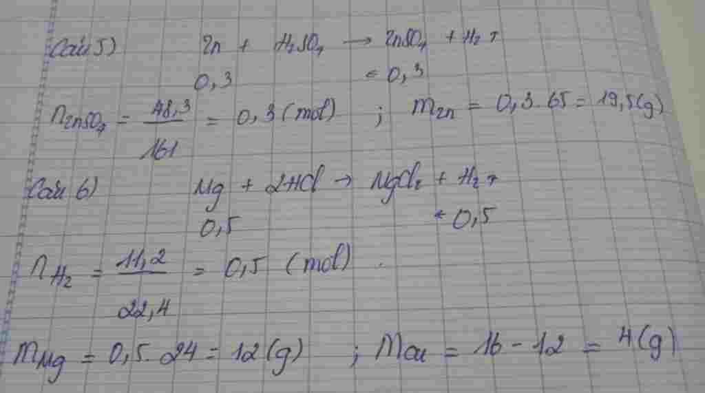 hoa-hoc-lop-9-cau-5-hoa-tan-m-gam-zn-bang-dung-dich-h2so4-vua-du-thu-duoc-dung-dich-y-co-can-dun