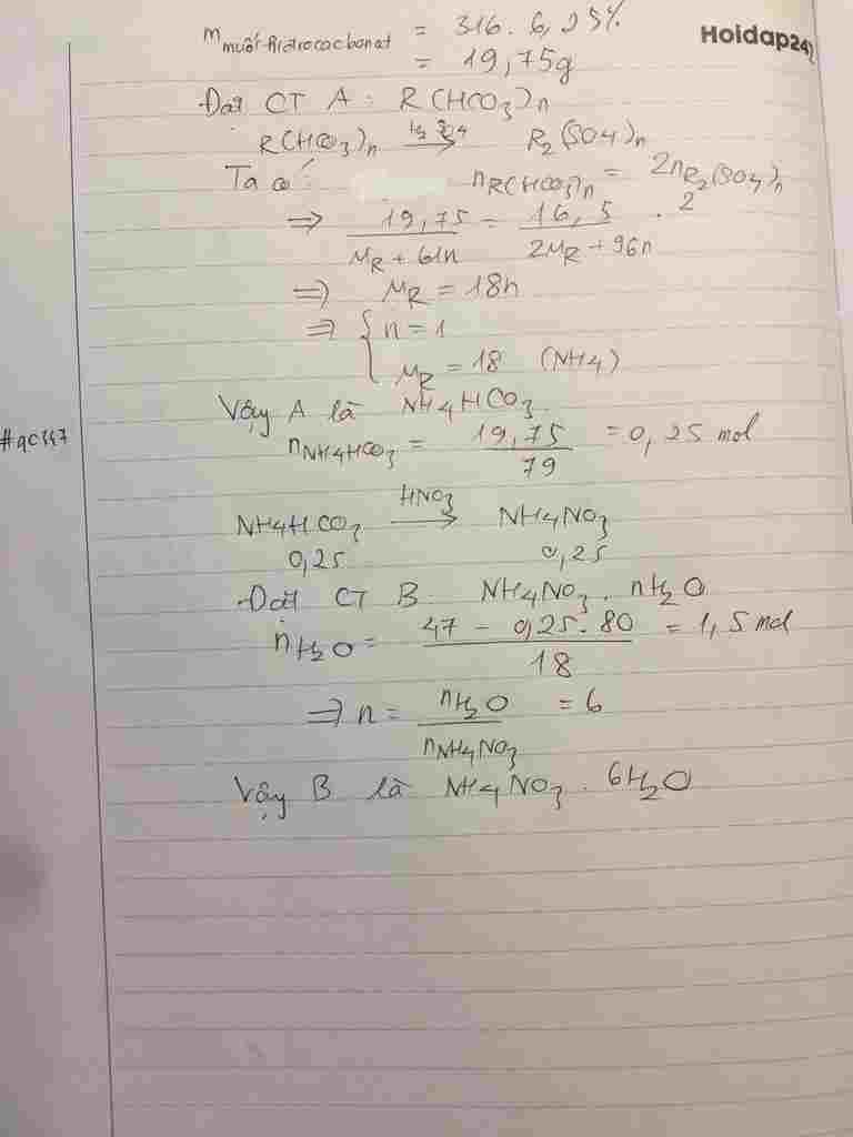 hoa-hoc-lop-9-cho-316-gam-mot-dung-dich-muoi-hidrocacbonat-a-6-25-vao-dung-dich-h2so4-loang-vua