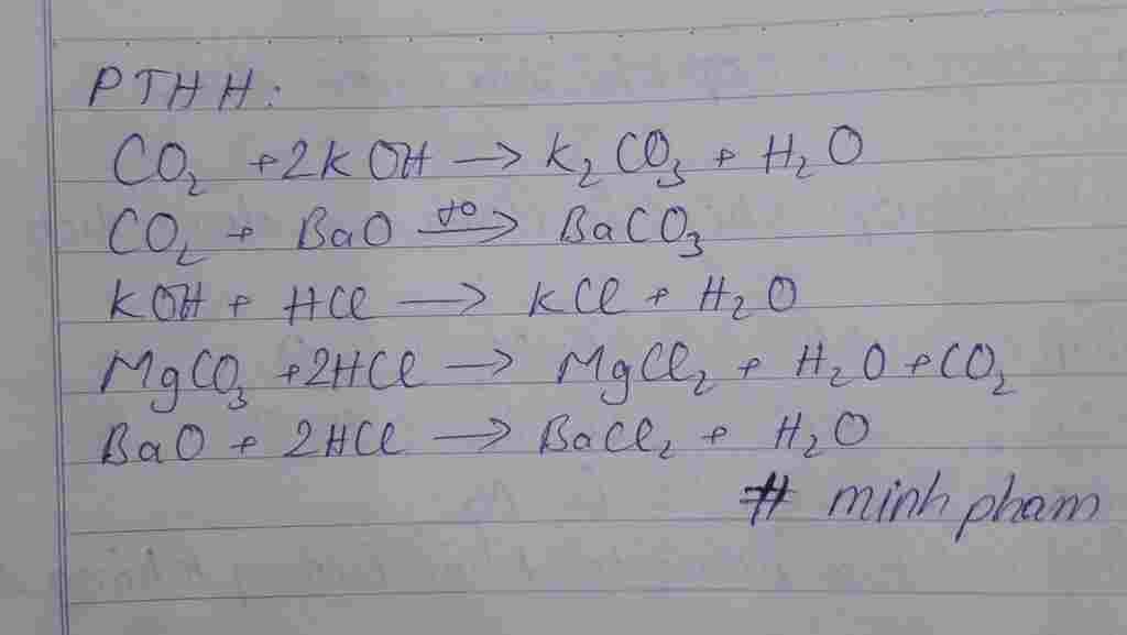 hoa-hoc-lop-9-cho-cac-chat-co2-koh-mgco3-bao-va-hcl-so-cap-chat-phan-ung-duoc-voi-nhau-la