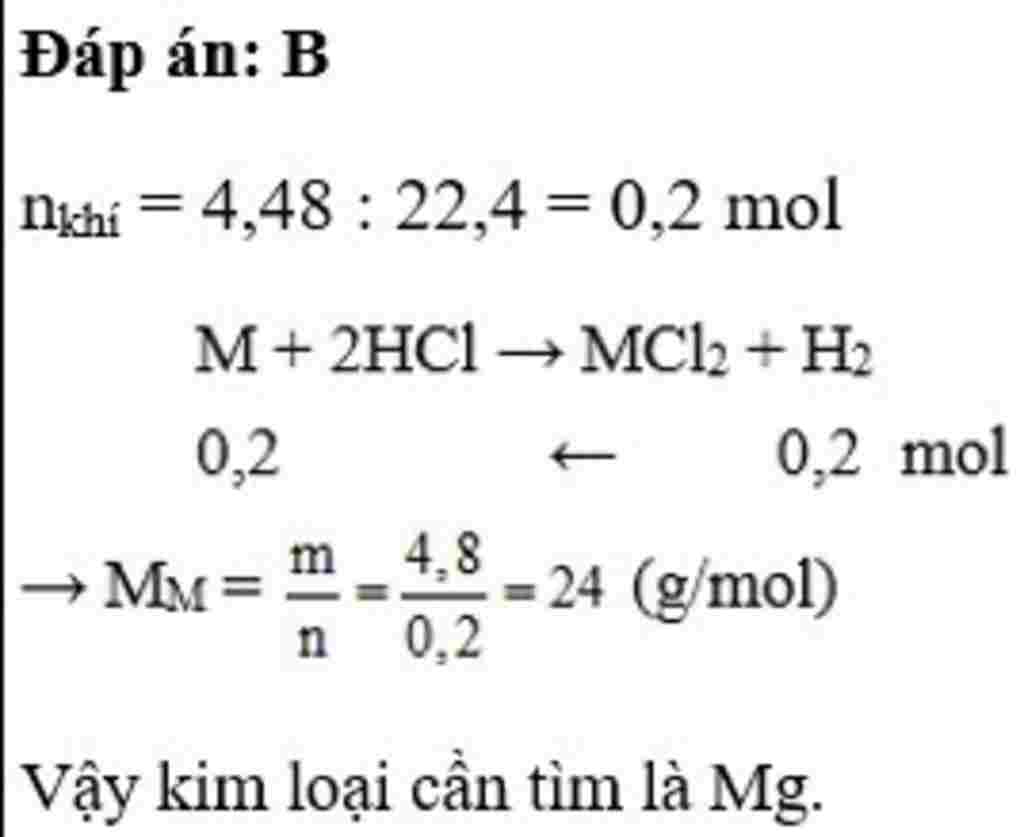 hoa-hoc-lop-9-dd-zncl2-co-lan-tap-chat-cucl2-kim-loai-lam-sach-zncl2-la-a-na-b-mg-c-zn-d-cu-cho