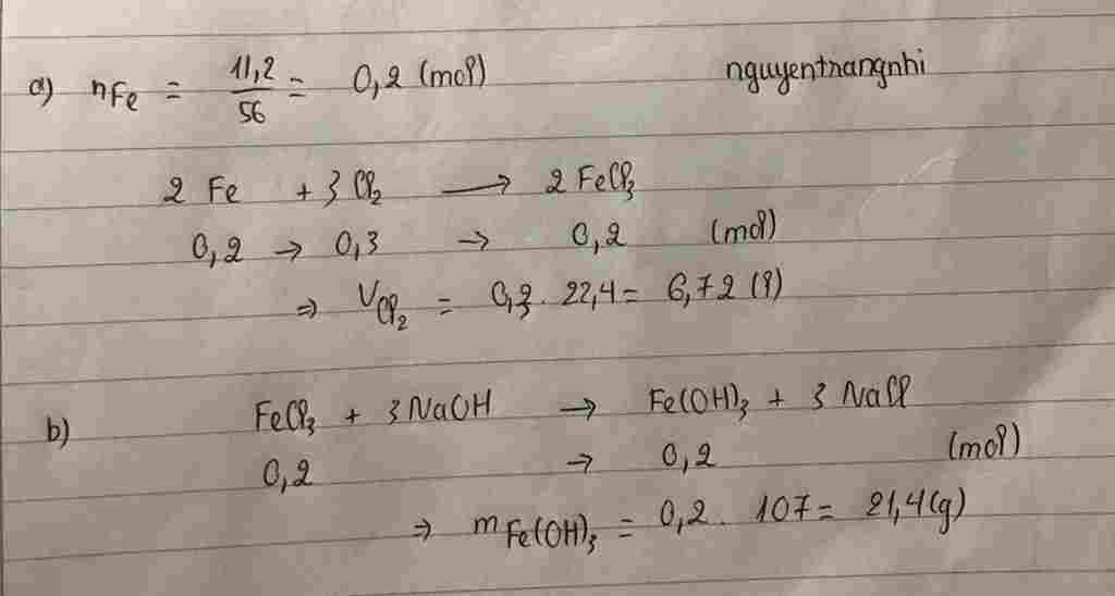 hoa-hoc-lop-9-dot-chay-11-2g-sat-kim-loai-trong-binh-dung-khi-clo-du-a-tinh-the-tich-khi-clo-can