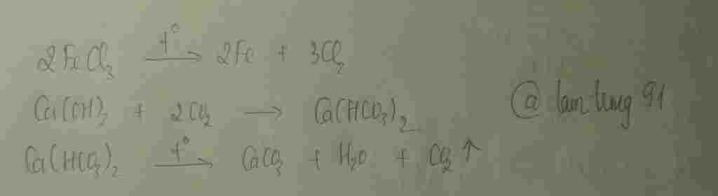 hoa-hoc-lop-9-fecl3-fe-ca-oh-2-ca-hco3-2-ca-hco3-2-caco3-giup-minh-3-pthh-nay-thoi-a-dang-can-ga