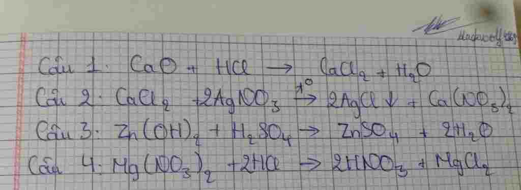 hoa-hoc-lop-9-hoan-thanh-ptpu-sau-cau-1-cao-hcl-cau-2-cacl2-agno3-cau-3-zn-oh-2-h2so4-cau-4-mg-n