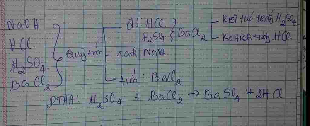 hoa-hoc-lop-9-nhan-biet-cac-chat-sau-duoc-dung-trong-cac-lo-mat-nhan-4-dung-dich-naoh-hcl-h2so4