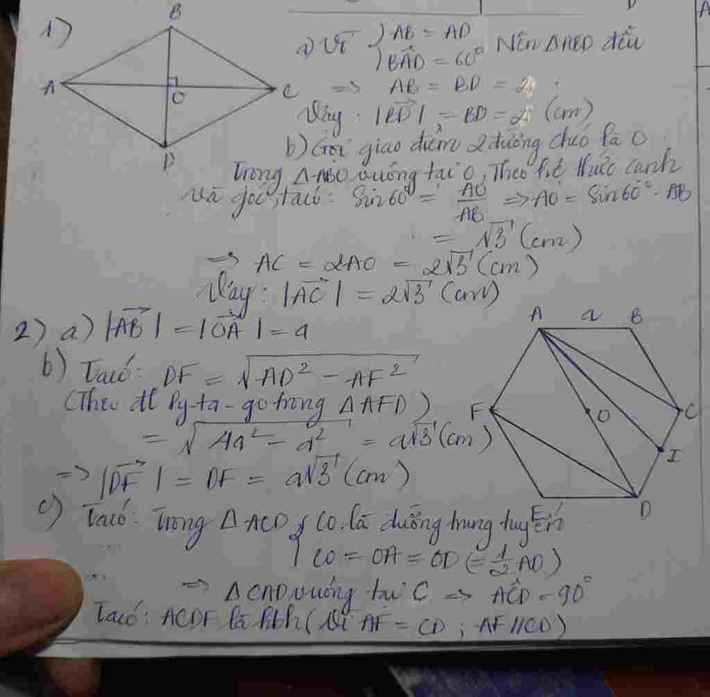 toan-lop-10-1-cho-hinh-thoi-abcd-canh-2cm-va-co-goc-bad-60-o-tinh-do-dai-cua-vecto-a-bd-b-ac-2-c