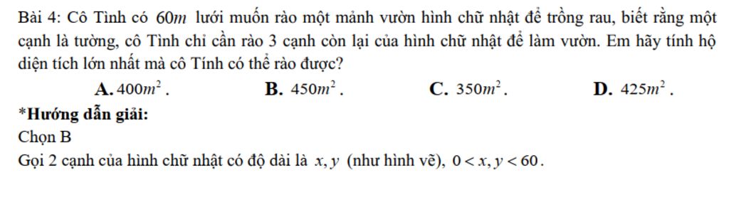 toan-lop-10-co-tinh-co-60m-luoi-muon-rao-mot-manh-vuon-hinh-chu-nhat-de-trong-rau-biet-rang-mot