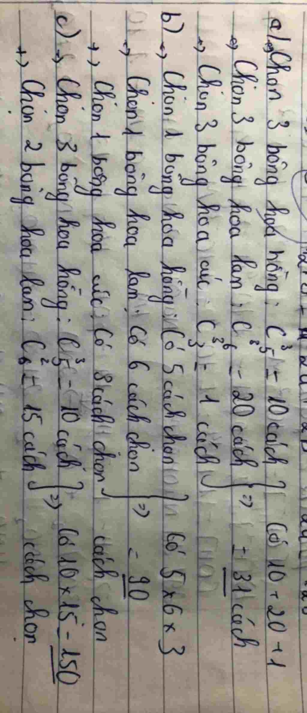 toan-lop-11-co-5-bong-hoa-hong-khac-nhau-6-bong-hoa-lan-khac-nhau-va-3-bong-hoa-cuc-khac-nhau-ho