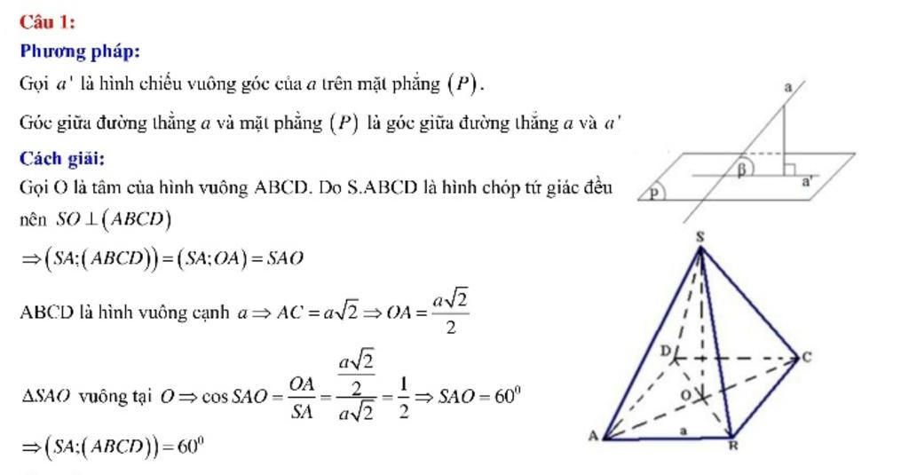 toan-lop-12-cho-hinh-chop-tu-giac-deu-sabcd-co-ac-4a-goc-tao-boi-sc-voi-day-bang-600-i-la-tam-cu