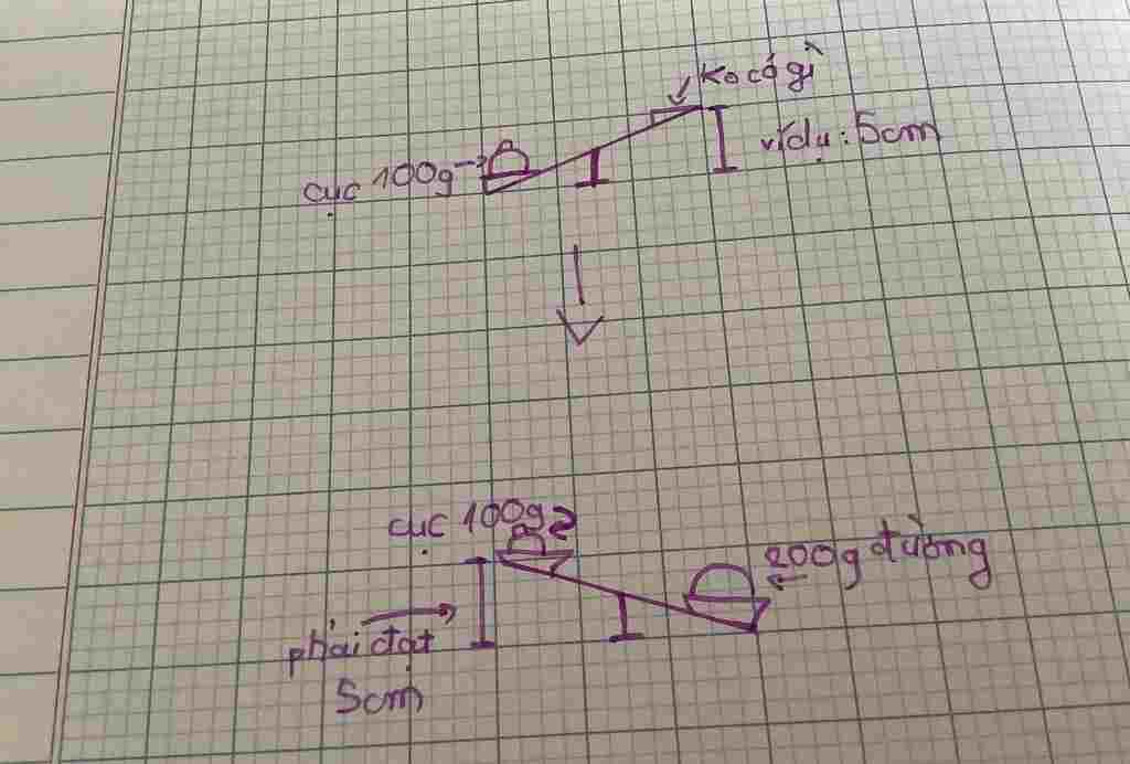 toan-lop-3-co-ha-co-1-chiec-can-dia-gom-2-dia-can-va-1-qua-can-100g-co-muon-lay-ra-200g-duong-tu