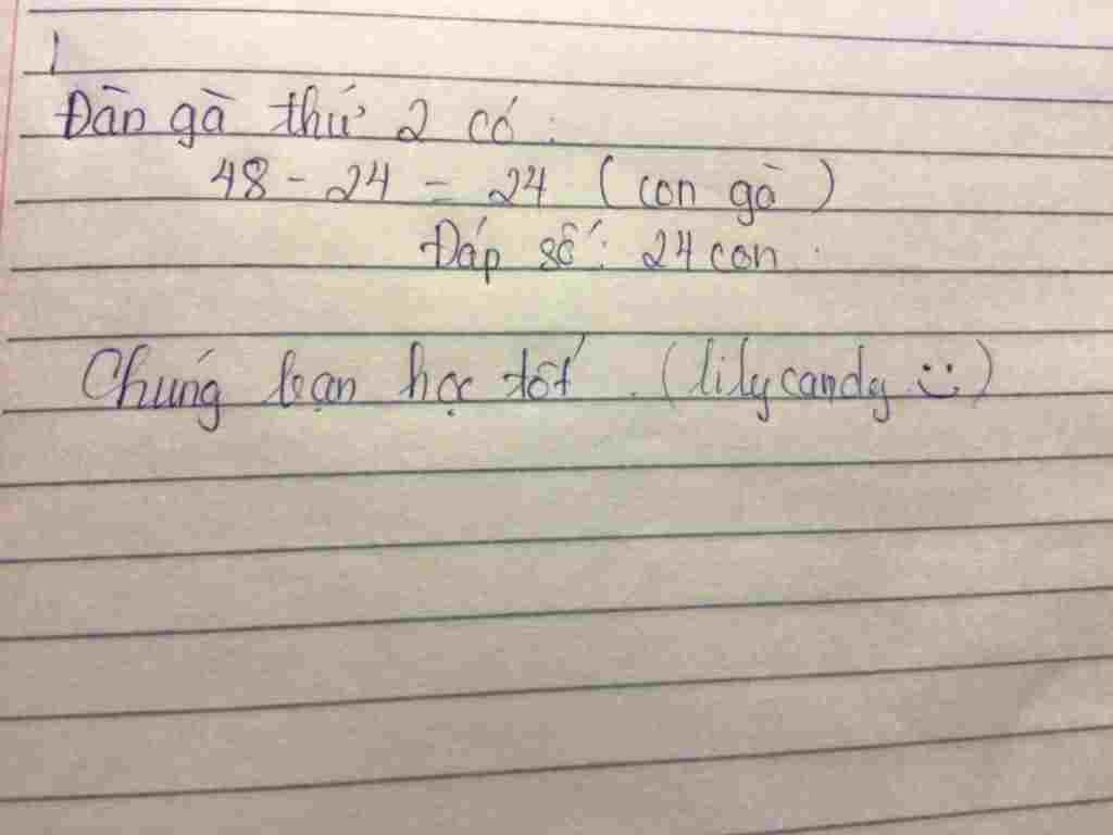 toan-lop-3-co-hai-dan-ga-dan-ga-thu-nhat-co-48-con-ga-dan-ga-thu-hai-it-hon-dan-ga-thu-nhat-24-c