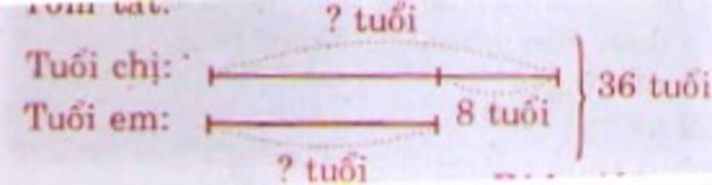 toan-lop-3-tinh-tuoi-chi-va-tuoi-em-cong-lai-duoc-36-tuoi-em-kem-chi-8-tuoi-hoi-chi-bao-nhieu-tu