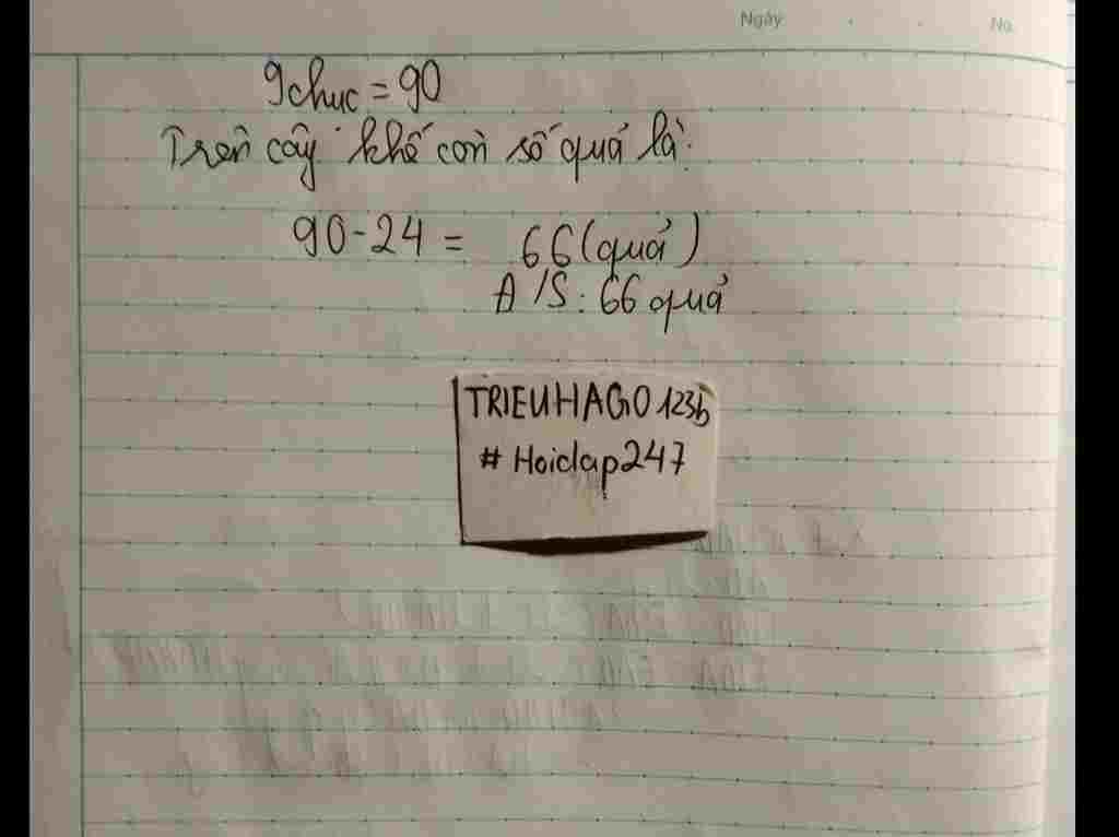 toan-lop-3-tren-cay-khe-co-9-chuc-qua-khe-me-dem-ban-24-qua-khe-hoi-tren-cay-con-lai-bao-nhieu-q