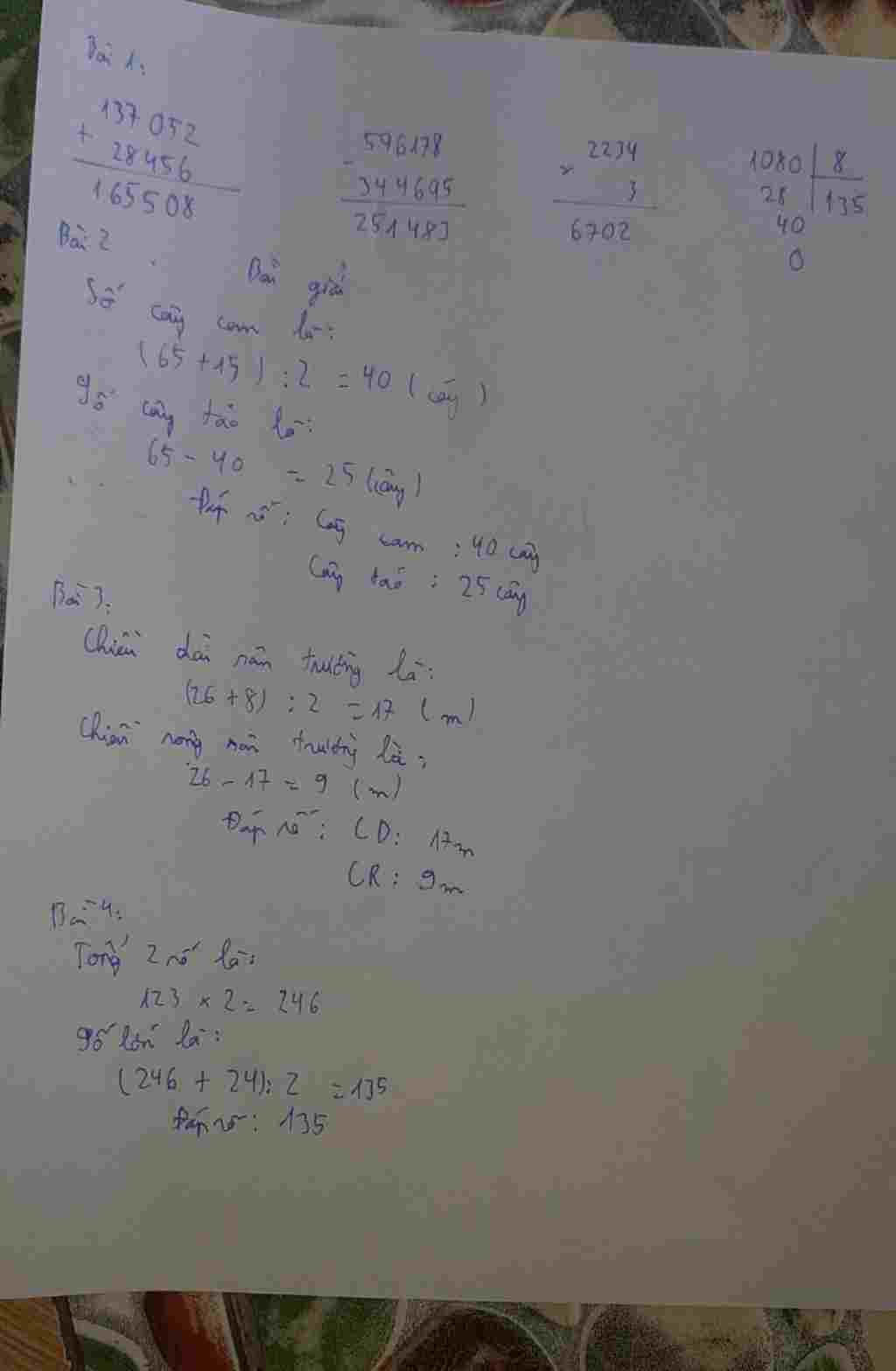 toan-lop-4-bai-1-dat-tinh-roi-tinh-137-052-28456-596178-344695-2234-3-1080-8-bai-2-manh-vuon-co