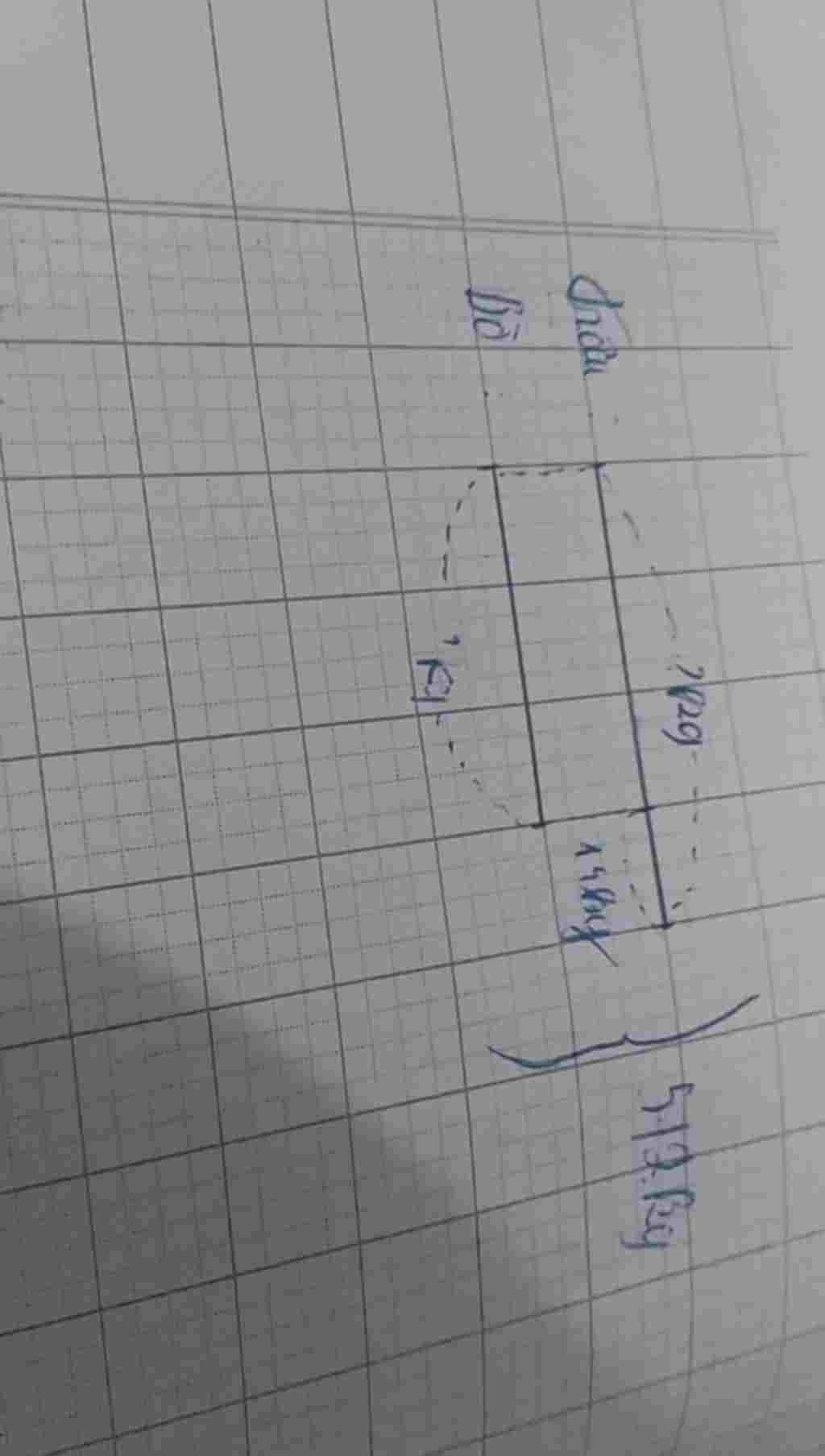 toan-lop-4-ca-bo-va-trau-can-nang-512kg-trau-nang-hon-bo-14-kg-hoi-moi-con-can-nang-bao-nhieu-kg