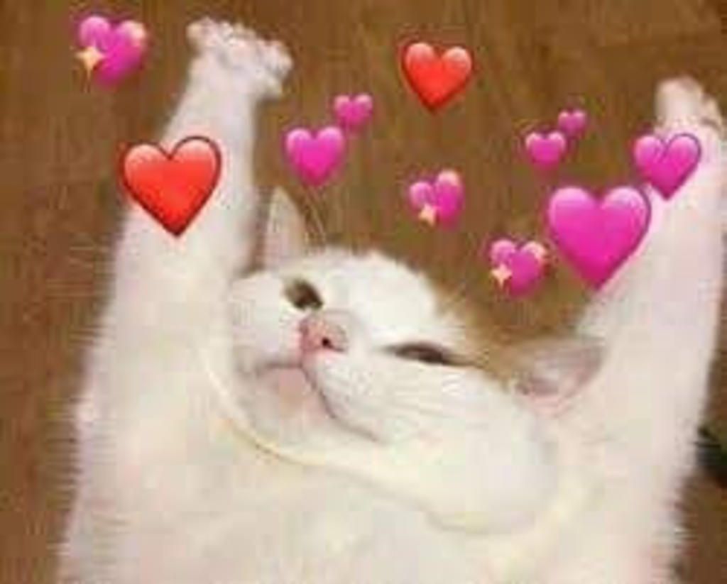 toan-lop-4-cho-hinh-chu-nhat-co-nua-chu-vi-la-120m-neu-bot-chieu-dai-di-20m-thu-hinh-do-se-thanh