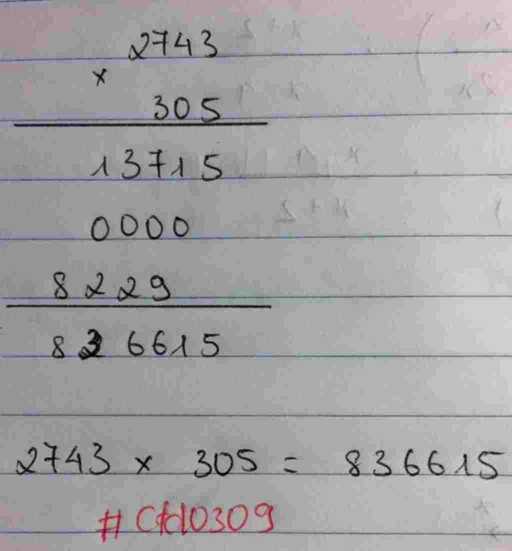 toan-lop-4-dat-tinh-roi-tinh-2743-nhan-305