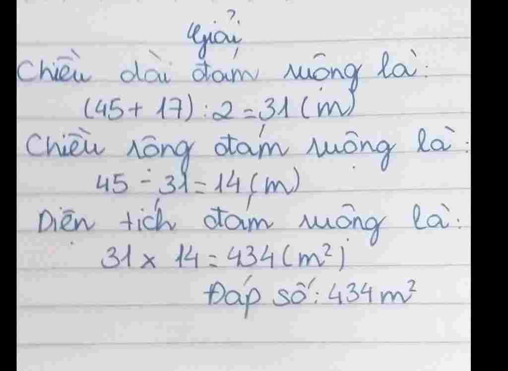 toan-lop-4-mot-dam-ruong-hinh-chu-nhat-co-tong-do-dai-hai-canh-lien-tiep-nhau-la-45-m-chieu-rong