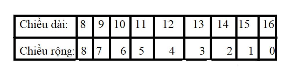 toan-lop-4-mot-hinh-vuong-co-canh-la-8m-hoi-co-the-tim-duoc-bao-nhieu-hinh-chu-nhat-co-cung-chu