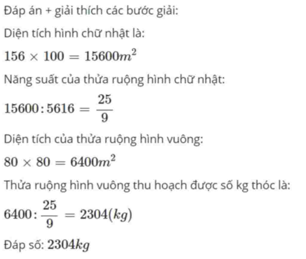 toan-lop-4-mot-thua-rong-hinh-chu-nhat-dai-156m-rong-100m-thu-hoach-duoc-5616kg-thoc-hoi-thua-ru