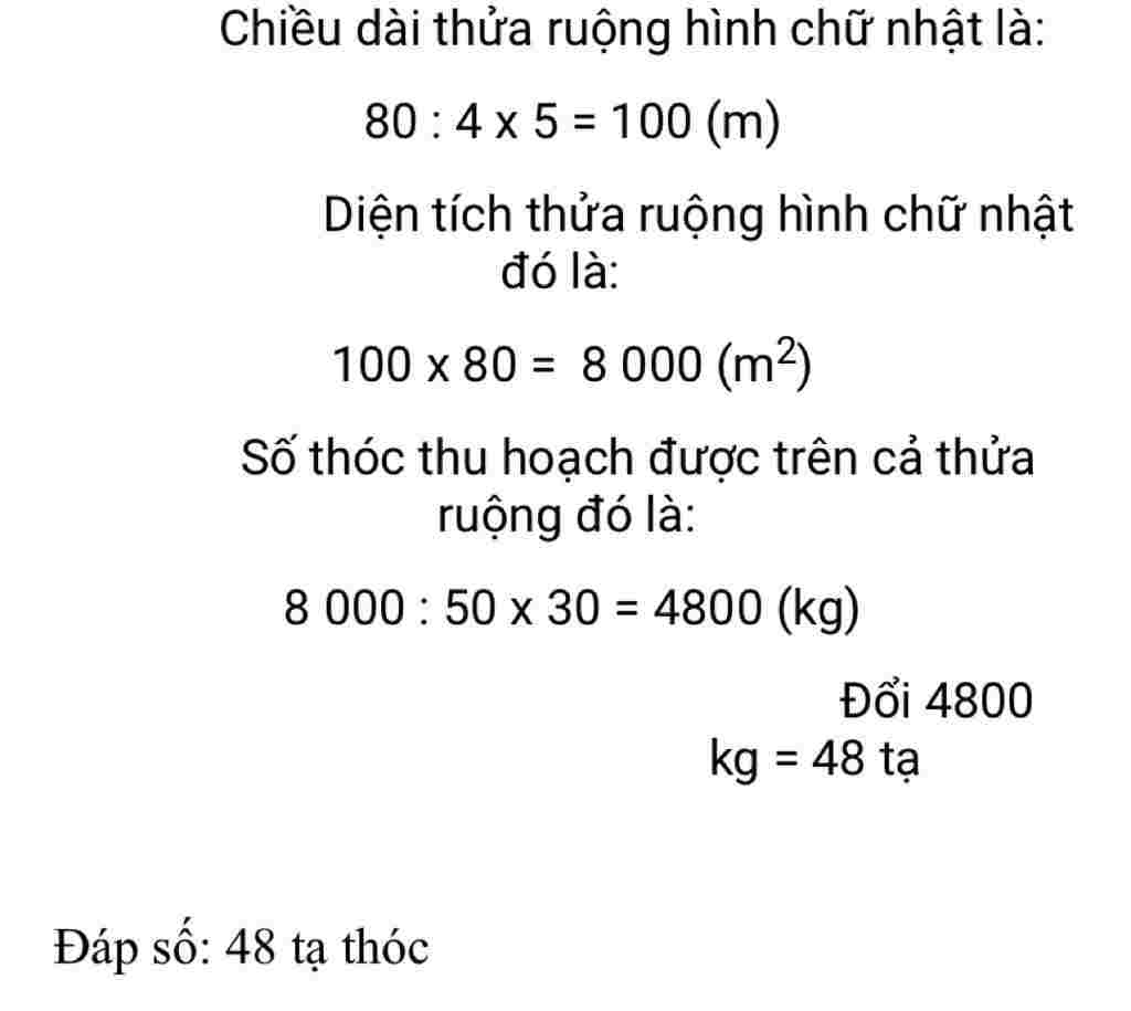 toan-lop-4-mot-thua-ruong-hinh-chu-nhat-co-chieu-rong-la-80m-chieu-dai-bang-5-4-chieu-rong-a-tin