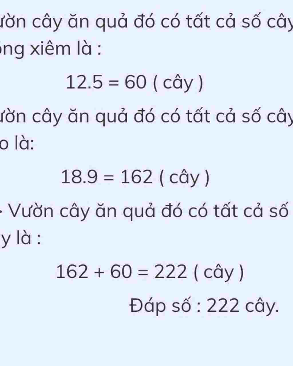 toan-lop-4-mot-vuon-hoa-trong-22-hang-cay-hoa-cuc-va-18-hang-cay-hoa-hong-trung-binh-moi-hang-co