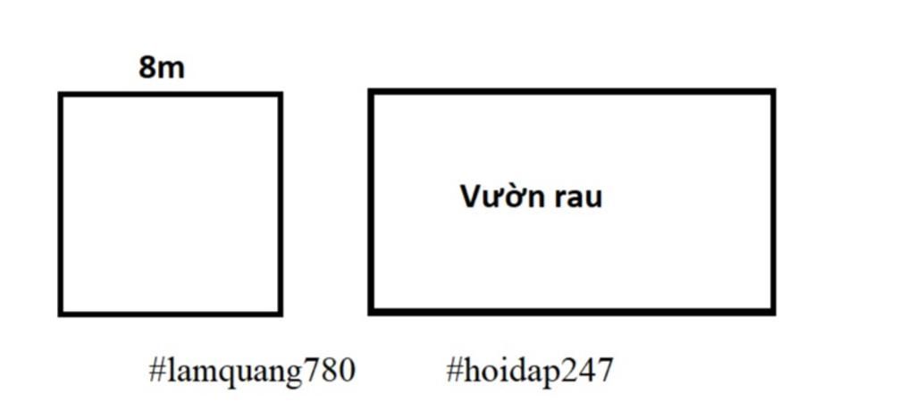 toan-lop-4-mot-vuon-rau-hinh-chu-nhat-co-chu-vi-bang-chu-vi-ao-ca-hinh-vuong-canh-8-m-tinh-dien