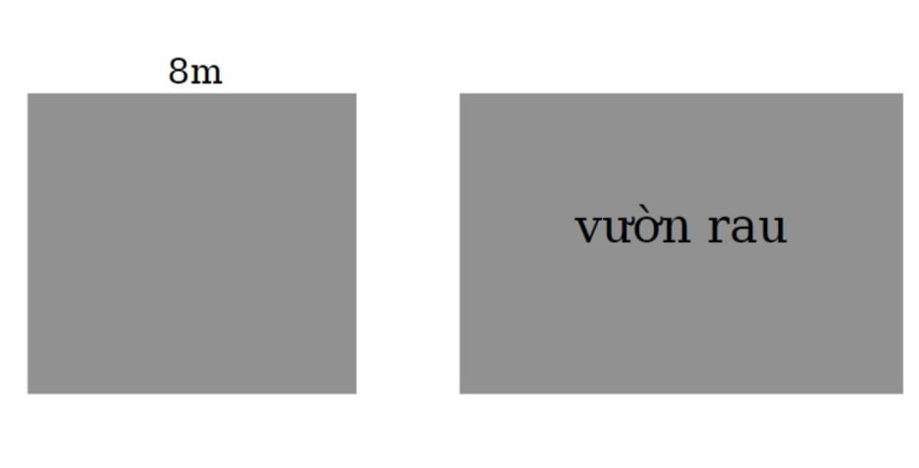 toan-lop-4-mot-vuon-rau-hinh-chu-nhat-co-chu-vi-bang-chu-vi-ao-ca-hinh-vuong-canh-8-m-tinh-dien