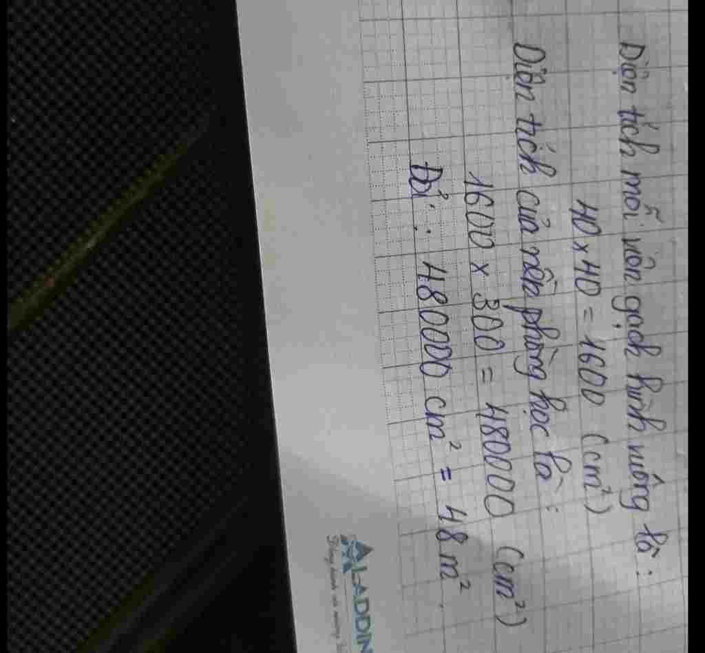 toan-lop-4-nguoi-ta-dung-het-300-vien-gach-vuong-canh-40cm-de-lat-nen-mot-can-phong-phan-mach-vu