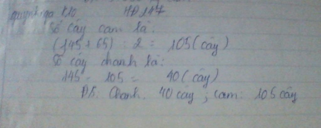 toan-lop-4-trong-vuon-cay-cua-bac-ba-co-145-cay-vua-cam-vua-chanh-so-cay-chanh-it-hon-so-cay-cam