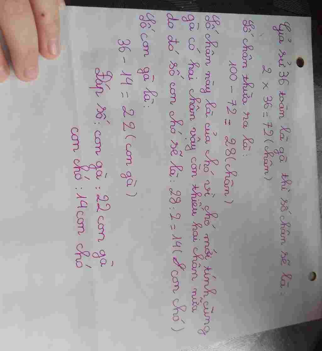 toan-lop-4-vua-ga-vua-cho-bo-lai-cho-tron-duoc-100-chan-chan-hoi-co-bao-nhieu-con-ga-va-bao-nhie