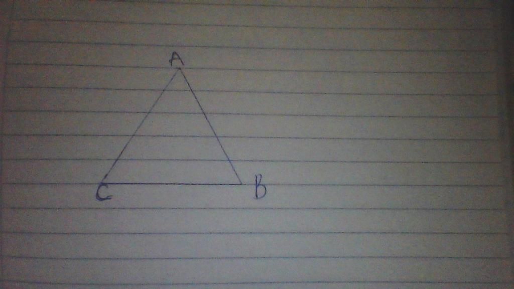 toan-lop-5-a-dung-thuoc-va-compa-de-ve-hinh-tam-giac-deu-canh-4cm-b-mot-khu-vuon-hinh-chu-nhat-c