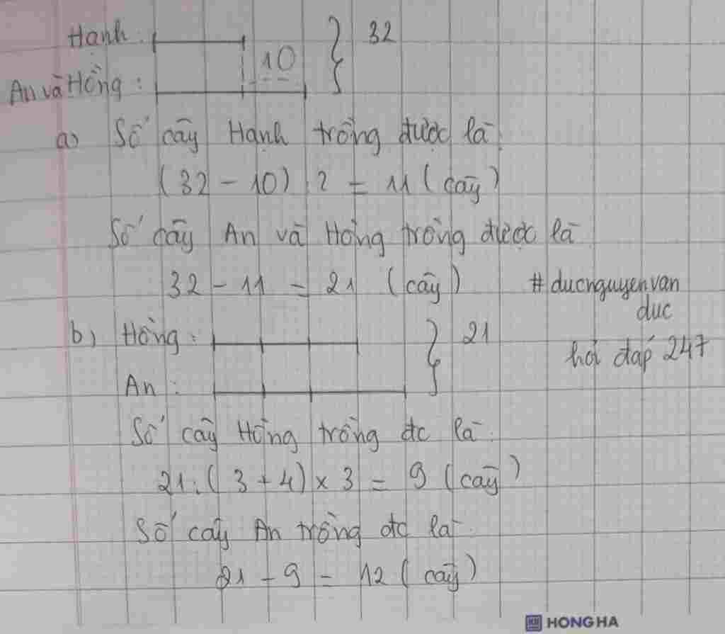 toan-lop-5-ba-ban-an-hong-hanh-trong-duoc-32-cay-biet-rang-so-cay-hai-ban-an-va-hong-trong-duoc
