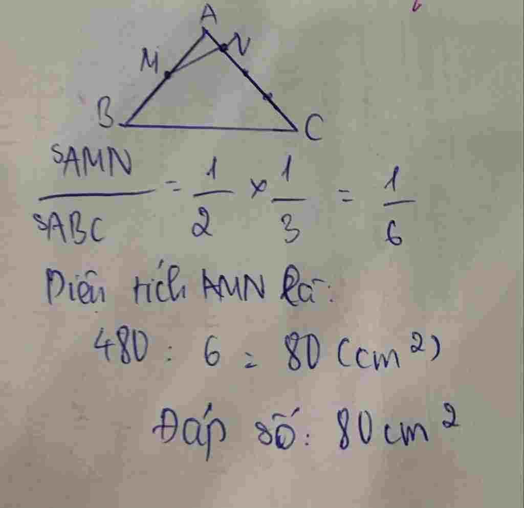 toan-lop-5-bai-2-cho-tam-giac-abc-co-dien-tich-la-480-cm2-diem-m-nam-tren-ab-sao-cho-am-1-2-ab-d