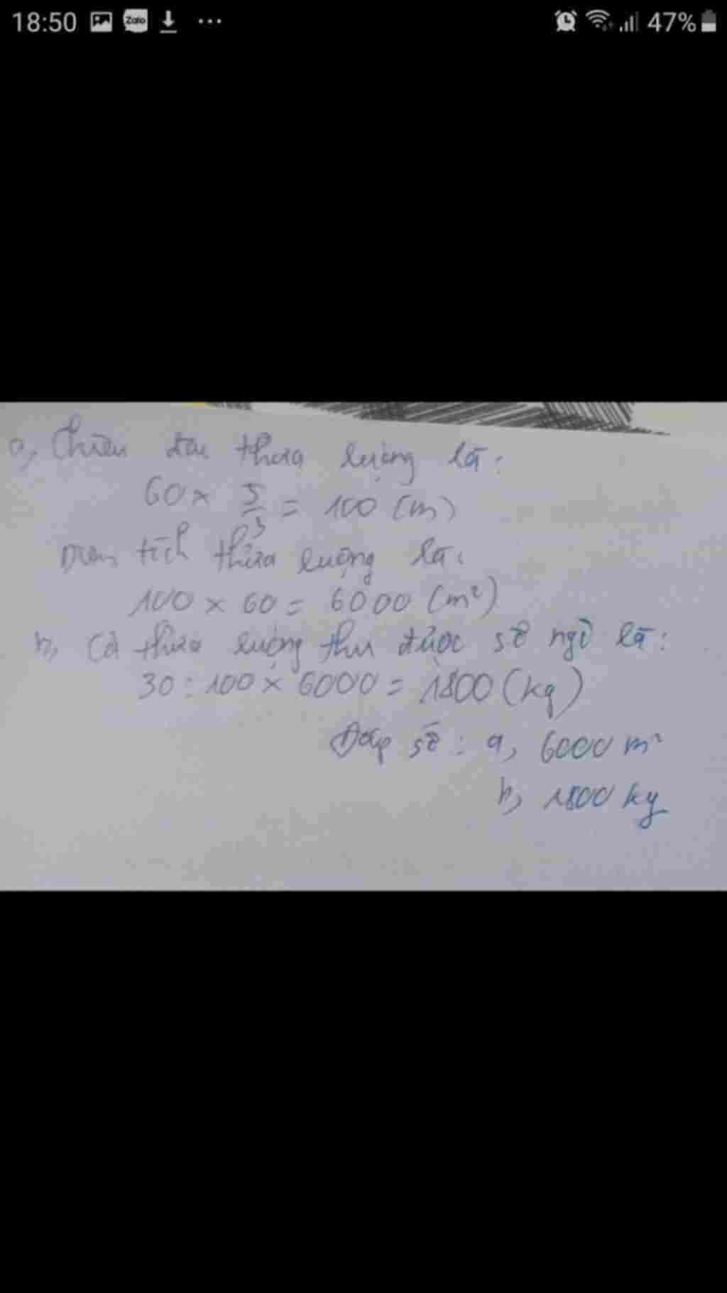 toan-lop-5-bai-4-nguoi-ta-trong-ngo-tren-mot-thua-ruong-hinh-chu-nhat-co-chieu-rong-60-m-chieu-r