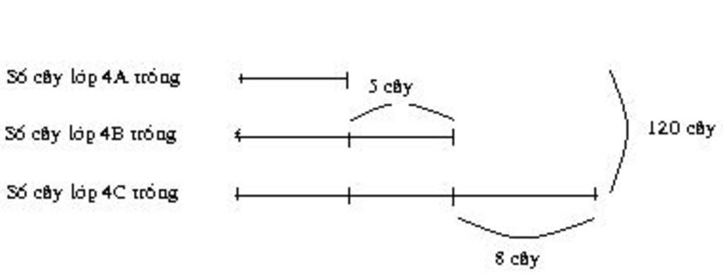 toan-lop-5-ca-3-lop-4a-4b-4c-trong-duoc-120-cay-lop-5b-trong-duoc-nhieu-hon-lop-4a-5-cay-nhung-l