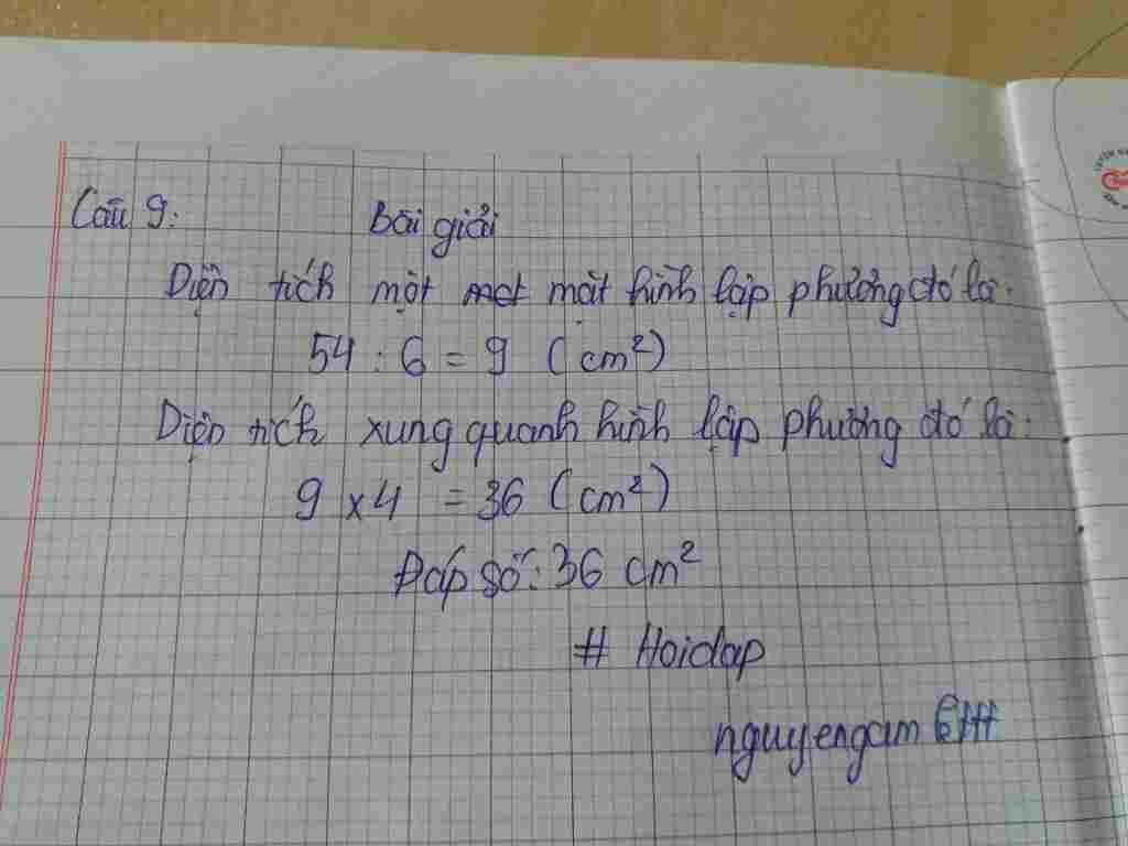 toan-lop-5-cau-8-ghi-lai-loi-giai-chi-tiet-vao-giay-o-ly-mot-thua-ruong-hinh-chu-nhat-co-chieu-d