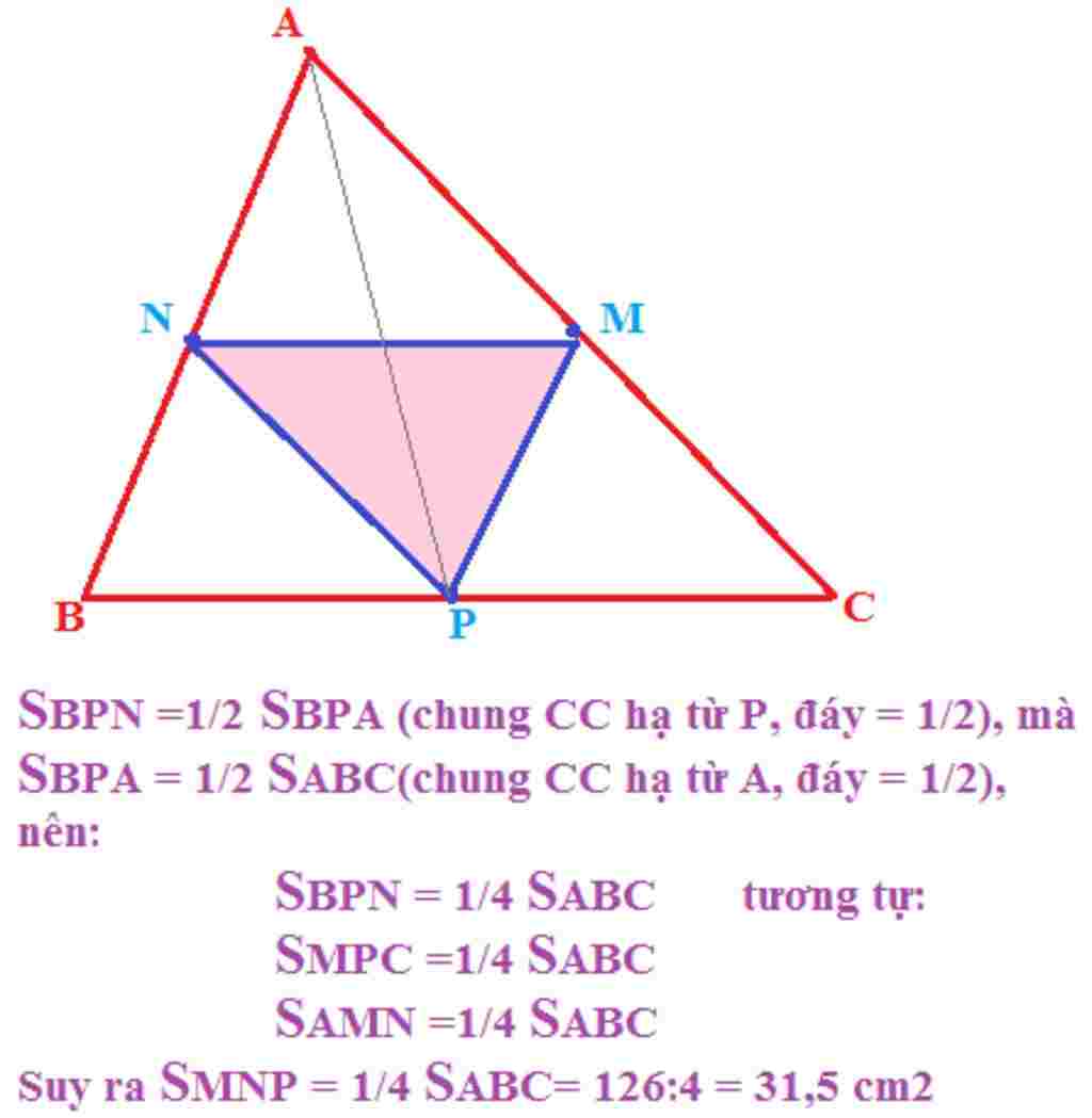 toan-lop-5-cho-tam-giac-abc-co-dien-tich-60cm2-cac-diem-m-n-p-lan-luot-la-trung-diem-cua-cac-can