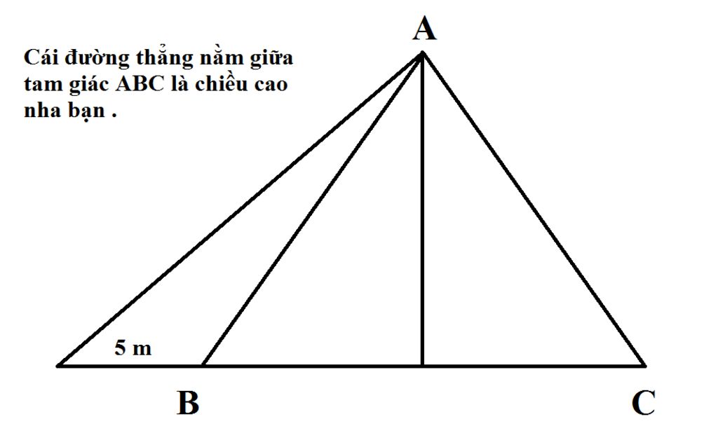toan-lop-5-cho-tam-giac-abc-co-s-la-150-m2-neu-keo-dai-day-bc-ve-phia-b-5m-thi-s-tang-them-la-30