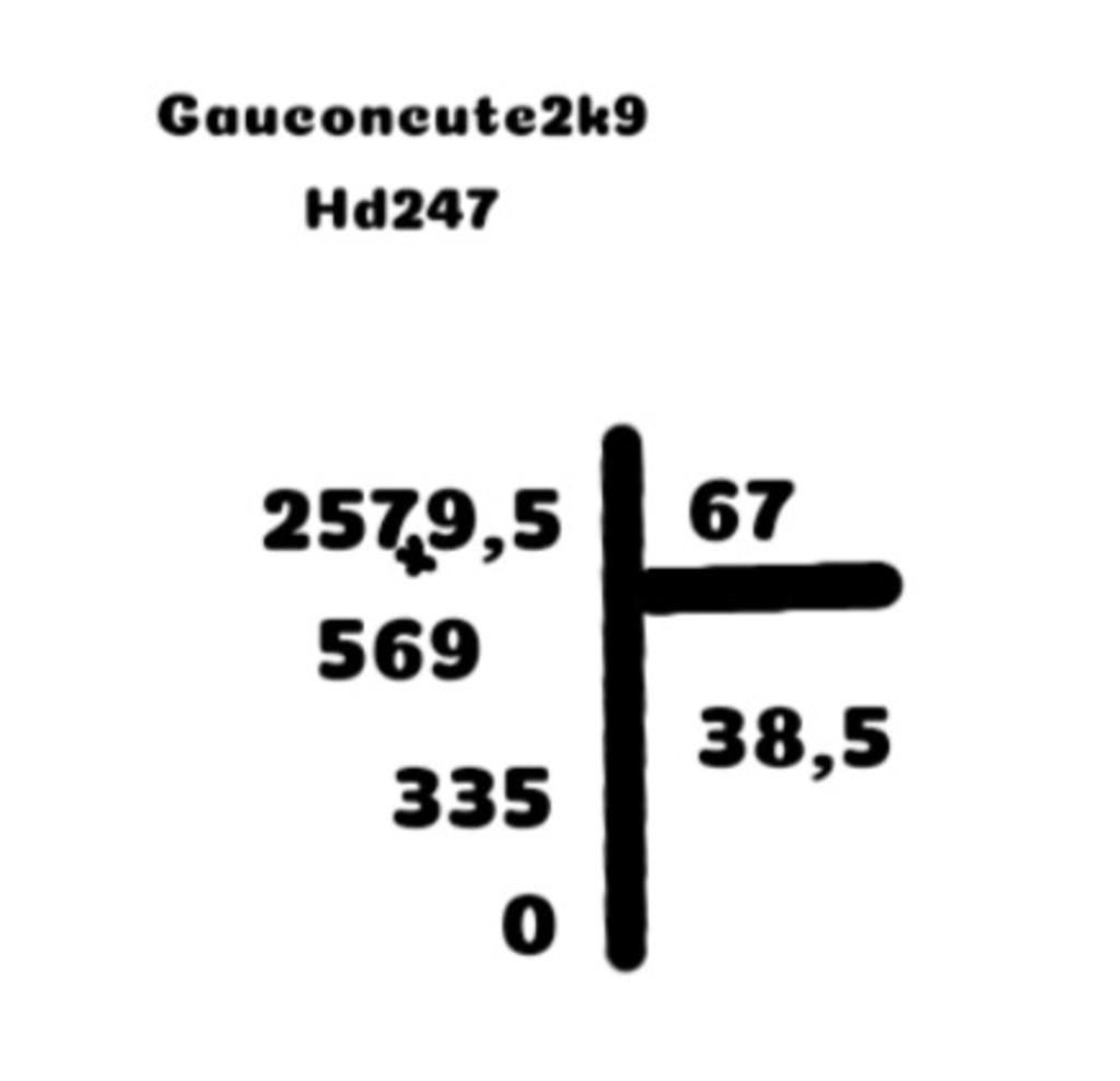 toan-lop-5-dat-tinh-roi-tinh-257-95-6-7