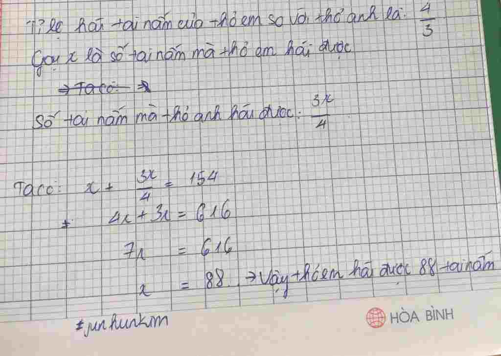 toan-lop-5-hai-anh-em-nha-tho-hai-duoc-154-tai-nam-cu-tho-anh-hai-duoc-3-tai-nam-thi-tho-em-hai
