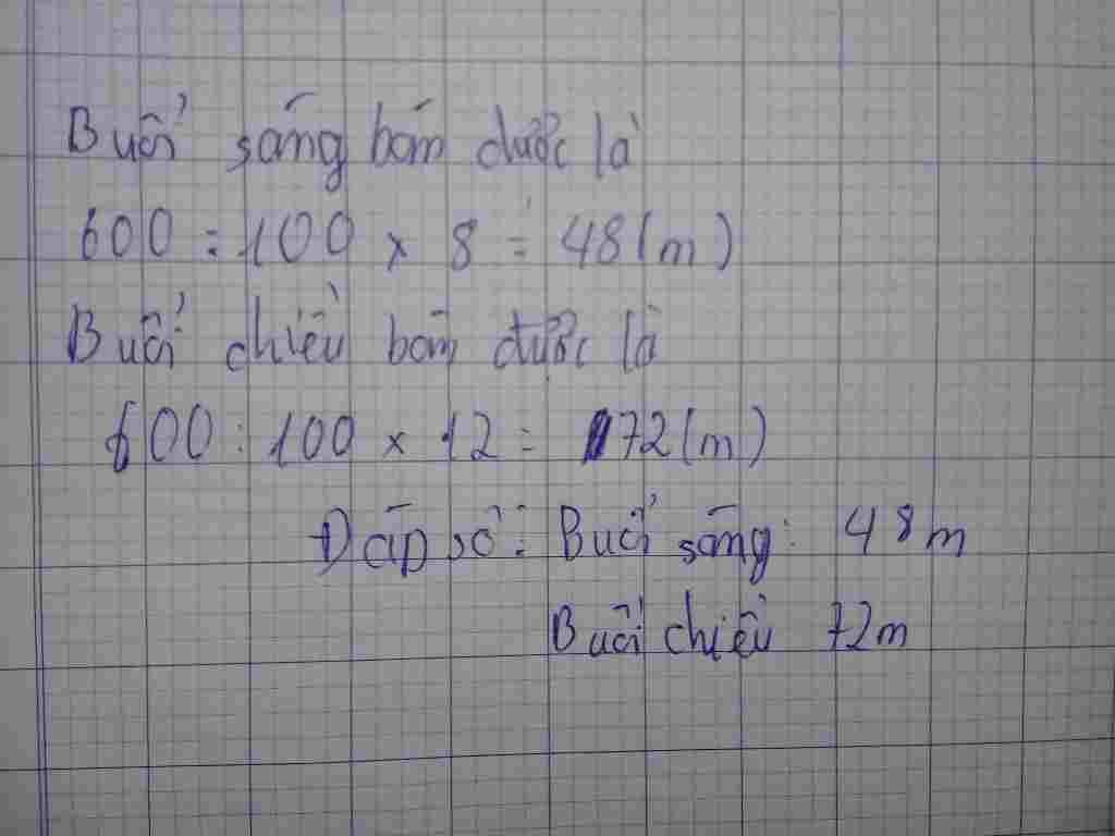 toan-lop-5-mot-cua-hang-co-600m-vai-buoi-sang-ban-duoc-12-so-vai-do-buoi-chieu-ban-duoc-8-so-vai