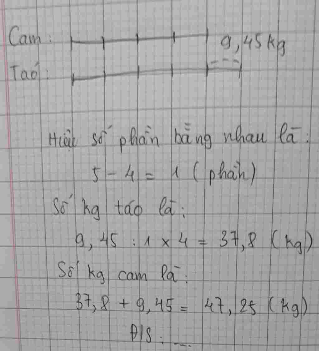 toan-lop-5-mot-cua-hang-nhap-ve-mot-thung-cam-va-mo-thung-tao-thung-cam-can-nang-hon-thung-tao-9