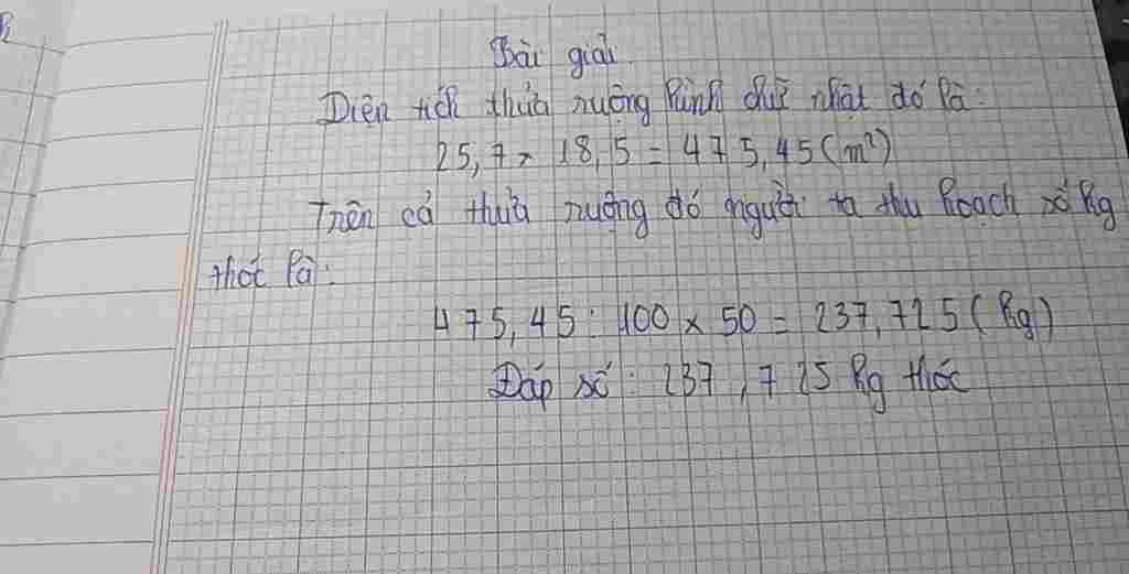 toan-lop-5-mot-khu-vuon-hinh-chu-nhat-co-chieu-dai-gap-3-lan-chieu-rong-tinh-dien-tich-khu-vuon