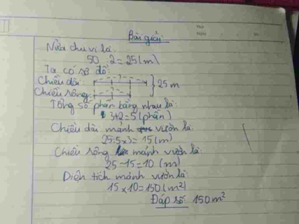 toan-lop-5-mot-manh-vuon-hinh-chu-nhat-co-chu-vi-la-50-m-chieu-dai-gap-ruoi-chieu-rong-tim-dien