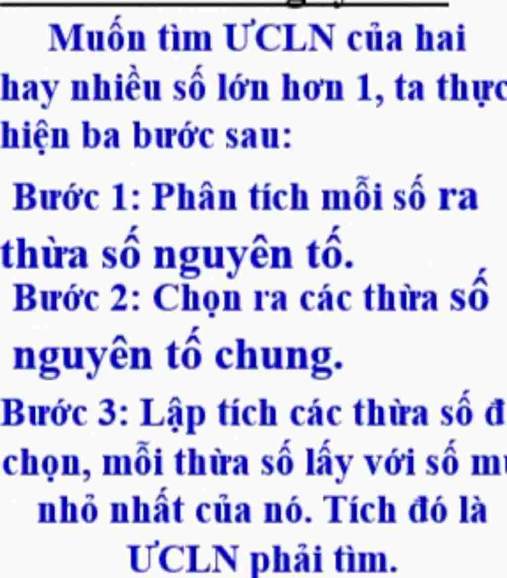 toan-lop-5-ong-binh-co-mot-thung-tho-ong-co-6-cay-sup-lo-va-8-cu-ca-rot-dem-cho-nhung-con-tho-tr
